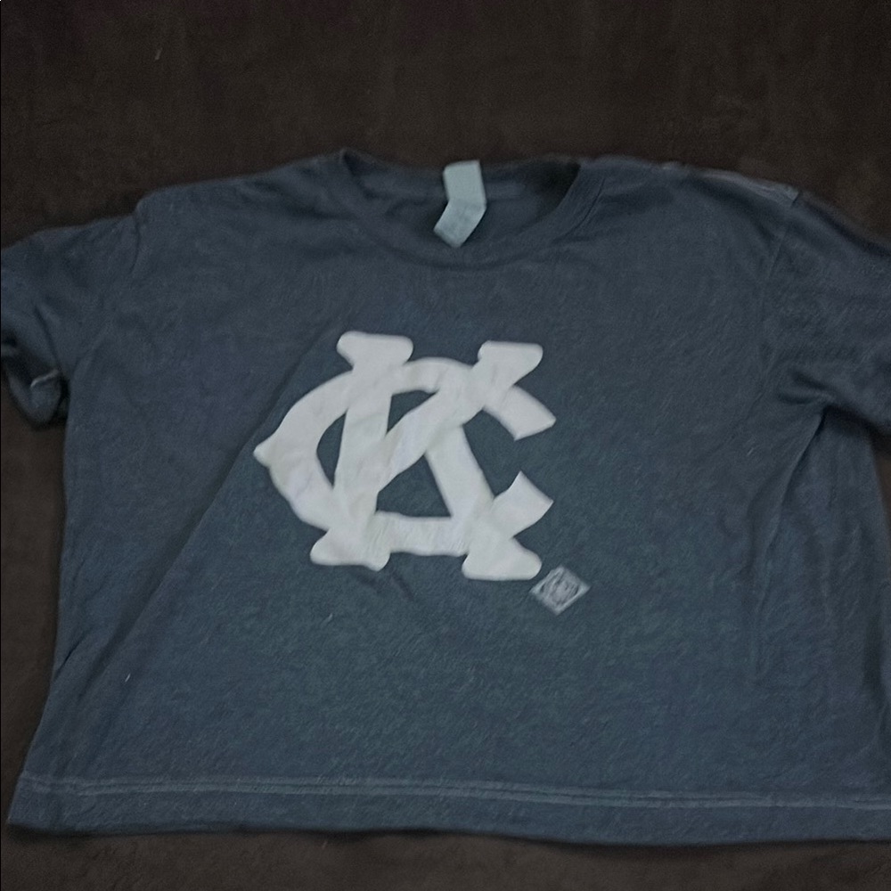 Tultex Blue and White Short Sleeve Tee